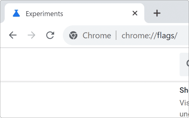 chrome flags 概要2