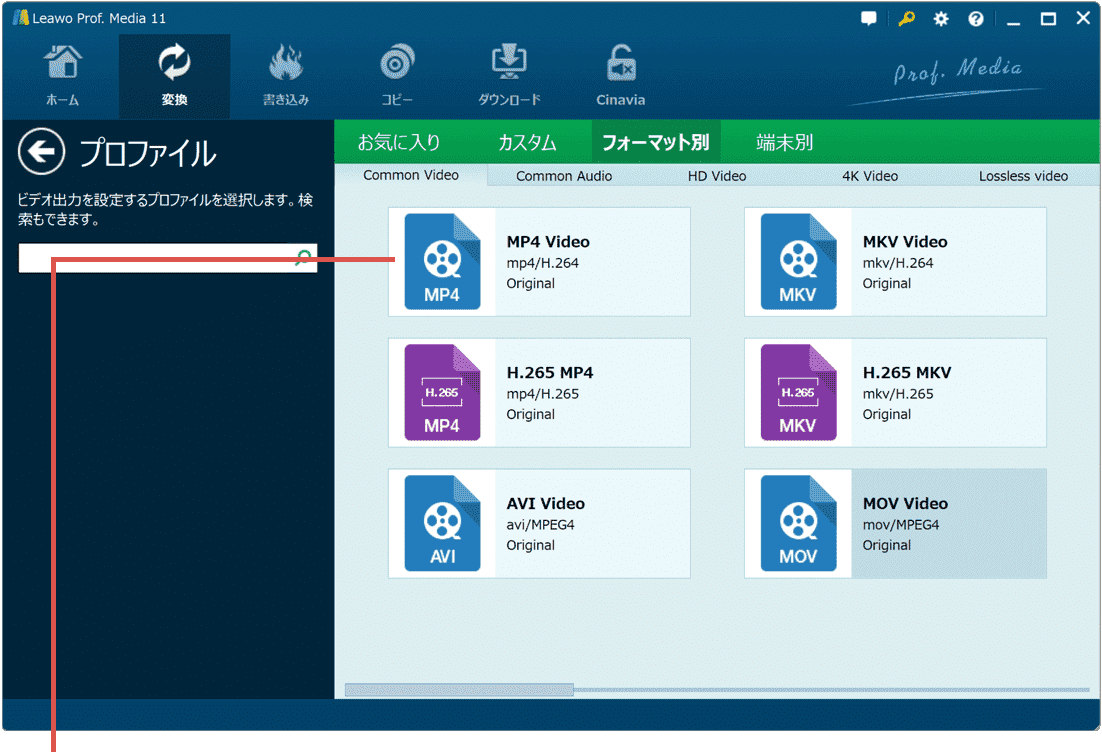 動画フォーマットを選択